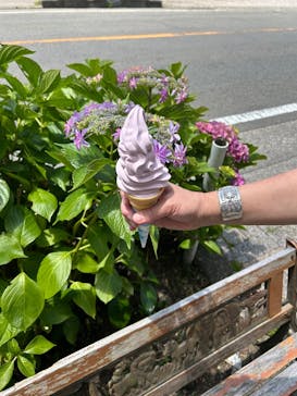 LAVA BLASTに投稿された画像（2025/7/21）