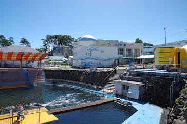 越前松島水族館に投稿された画像（2025/7/21）