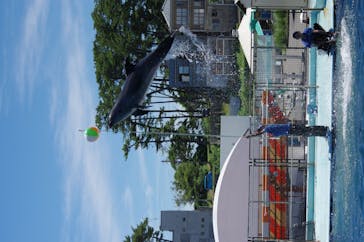 越前松島水族館に投稿された画像（2025/7/21）