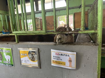 那須高原りんどう湖ファミリー牧場に投稿された画像（2025/7/21）