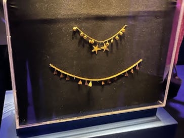 ACN ラムセス大王展 ファラオたちの黄金に投稿された画像（2025/7/21）