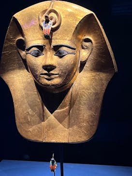 ACN ラムセス大王展 ファラオたちの黄金に投稿された画像（2025/7/21）