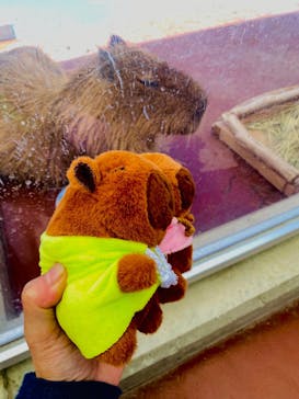 竹島水族館に投稿された画像（2025/7/21）