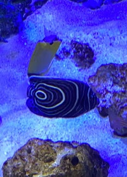 竹島水族館に投稿された画像（2025/7/21）