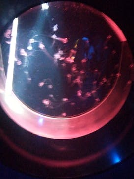 アクアワールド茨城県大洗水族館に投稿された画像（2025/7/21）