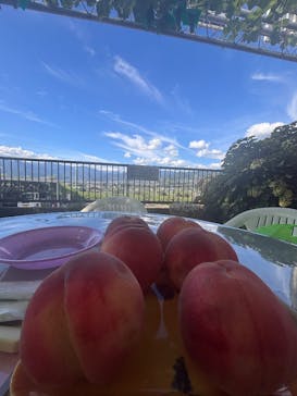 グレープガーデン　安全農園に投稿された画像（2025/7/21）