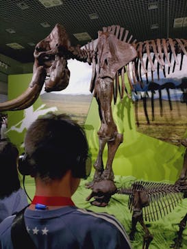 特別展「氷河期展 〜人類が見た4万年前の世界〜」（国立科学博物館）に投稿された画像（2025/7/21）