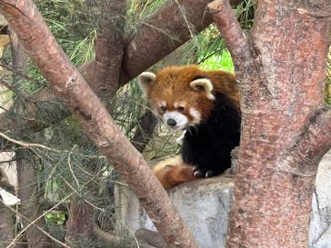 那須どうぶつ王国に投稿された画像（2025/7/21）