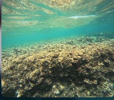 沖縄マリンサービス碧に投稿された画像（2025/7/21）