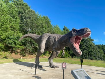 福井県立恐竜博物館に投稿された画像（2025/7/21）