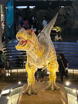 福井県立恐竜博物館に投稿された画像（2025/7/21）
