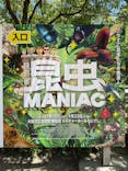 特別展 『昆虫 MANIAC』に投稿された画像（2025/7/21）
