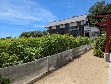 二十四の瞳映画村に投稿された画像（2025/7/21）