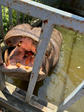 宇都宮動物園に投稿された画像（2025/7/21）