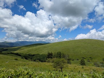 車山高原SKYPARK RESORTに投稿された画像（2025/7/21）