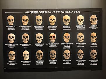 特別展「古代ＤＮＡ－日本人のきた道－」に投稿された画像（2025/7/21）