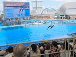 名古屋港水族館に投稿された画像（2025/7/21）