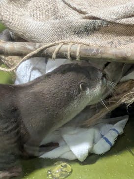 竹島水族館に投稿された画像（2025/7/21）