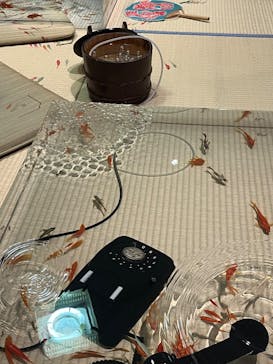 あべのハルカス美術館に投稿された画像（2025/7/21）