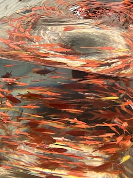 あべのハルカス美術館に投稿された画像（2025/7/21）