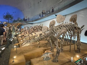 福井県立恐竜博物館に投稿された画像（2025/7/21）