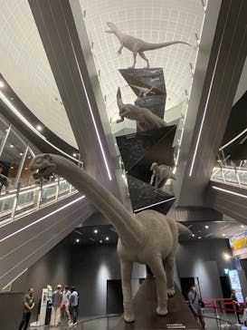 福井県立恐竜博物館に投稿された画像（2025/7/21）