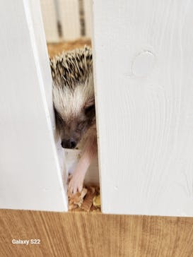 南知多ビーチランド＆南知多おもちゃ王国に投稿された画像（2025/7/21）