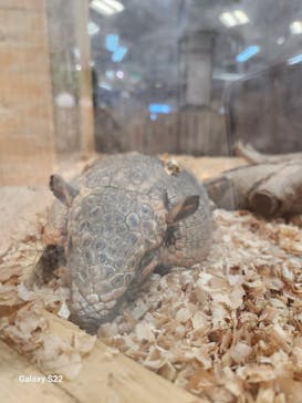 南知多ビーチランド＆南知多おもちゃ王国に投稿された画像（2025/7/21）