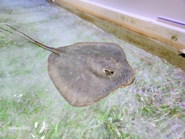 南知多ビーチランド＆南知多おもちゃ王国に投稿された画像（2025/7/21）