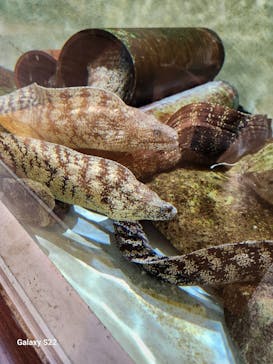 南知多ビーチランド＆南知多おもちゃ王国に投稿された画像（2025/7/21）