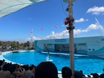 南知多ビーチランド＆南知多おもちゃ王国に投稿された画像（2025/7/21）