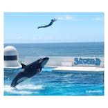 鴨川シーワールドに投稿された画像（2025/7/21）