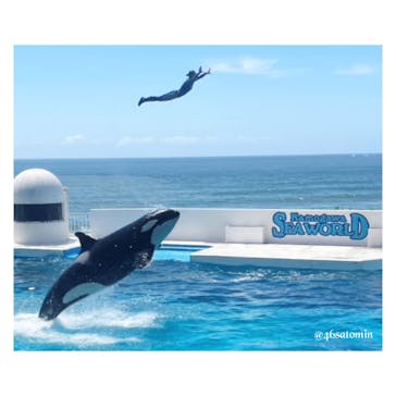 鴨川シーワールドに投稿された画像（2025/7/21）