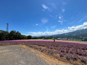 ひるがのピクニックガーデンに投稿された画像（2025/7/21）
