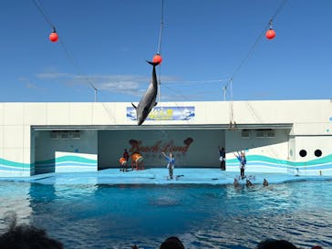 南知多ビーチランド＆南知多おもちゃ王国に投稿された画像（2025/7/20）