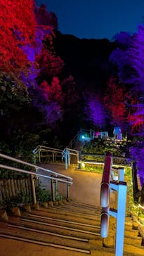 ニジゲンノモリに投稿された画像（2025/7/21）