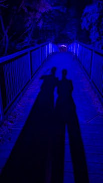 ニジゲンノモリに投稿された画像（2025/7/21）