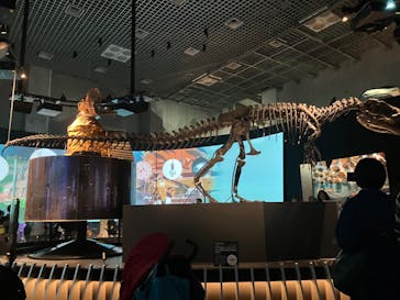 国立科学博物館に投稿された画像（2025/7/21）