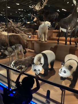 国立科学博物館に投稿された画像（2025/7/21）