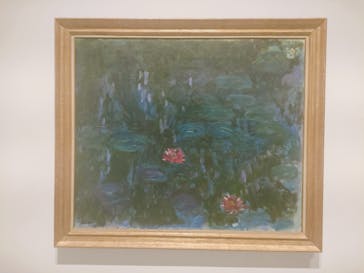 モネ 睡蓮のとき（豊田会場）に投稿された画像（2025/7/21）