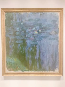 モネ 睡蓮のとき（豊田会場）に投稿された画像（2025/7/21）