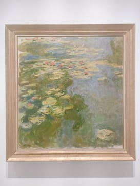 モネ 睡蓮のとき（豊田会場）に投稿された画像（2025/7/21）