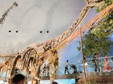 福井県立恐竜博物館に投稿された画像（2025/7/21）