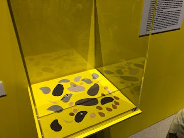 レオ・レオーニの絵本づくり展に投稿された画像（2025/7/21）