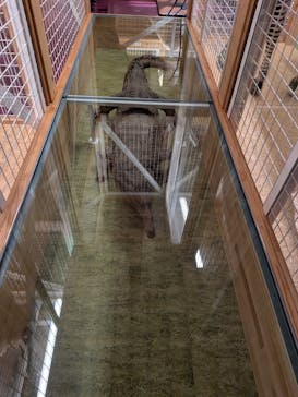 国立科学博物館に投稿された画像（2025/7/21）