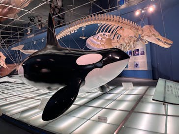 名古屋港水族館に投稿された画像（2025/7/21）