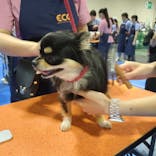 ペット博２０２５なごやに投稿された画像（2025/7/21）