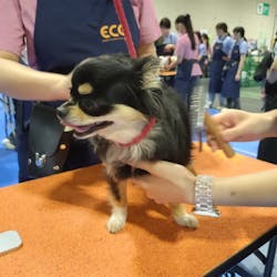 ペット博２０２５なごやに投稿された画像（2025/7/21）