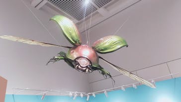 特別展 『昆虫 MANIAC』に投稿された画像（2025/7/21）