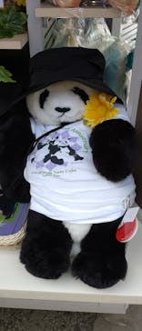 恩賜上野動物園に投稿された画像（2025/7/21）